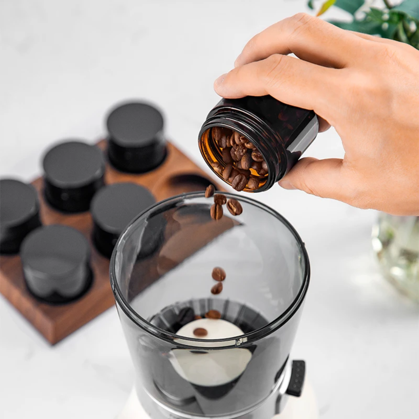 Mojae Coffee Jar Set