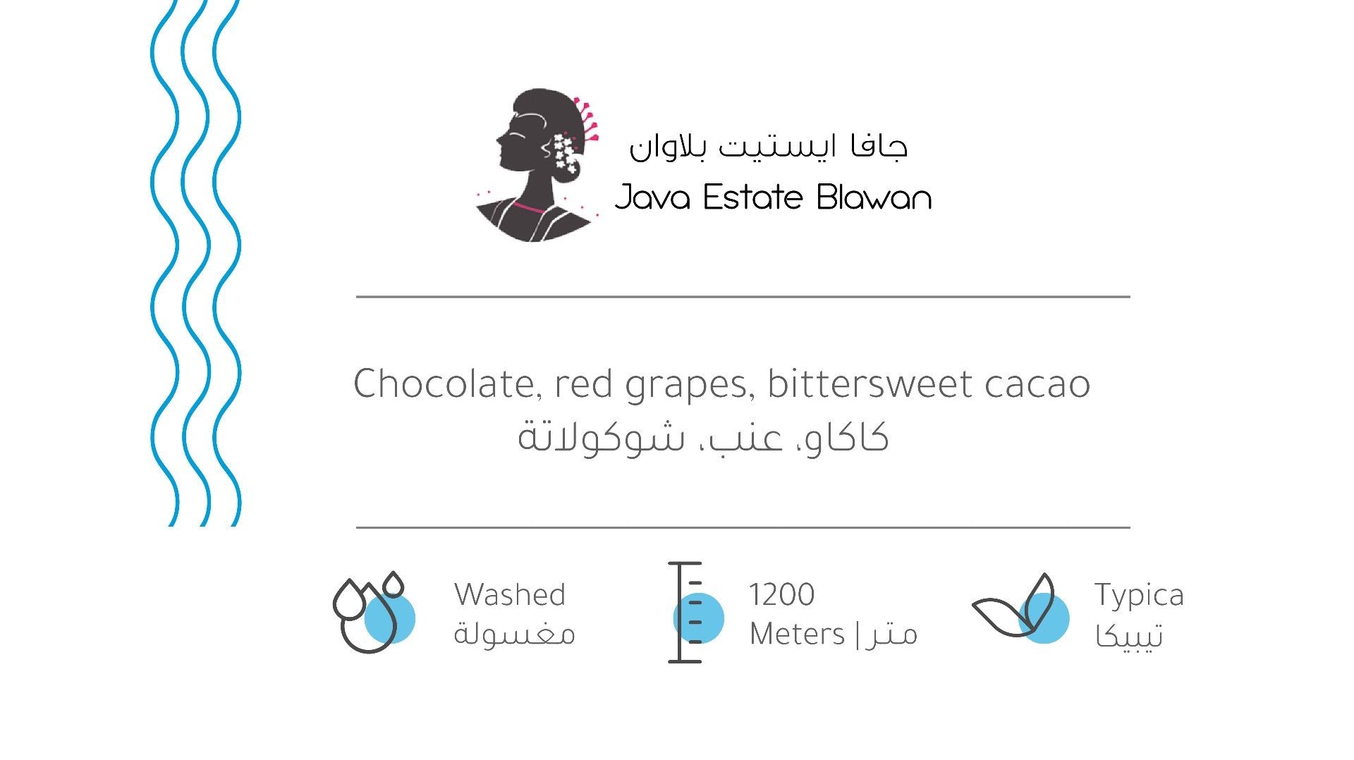 Java Estate Blawan - Roasting House-armista-kuwait-beans-ارميستا-محاصيل-باريستا
